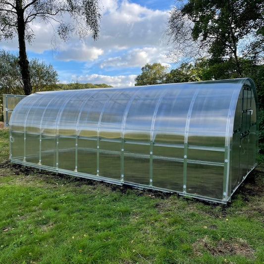 The Classic - Greenhouse