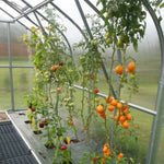 Plant Tying Kit for Greenhouses